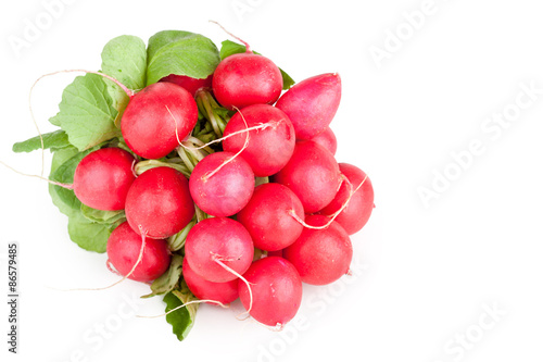 Bunch of garden radish