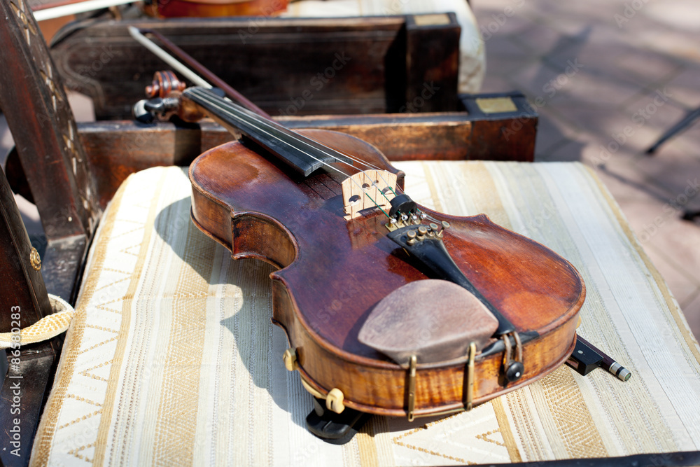 Obraz premium Violin