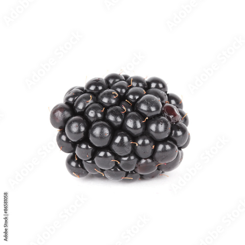 Blackberry isolated on white