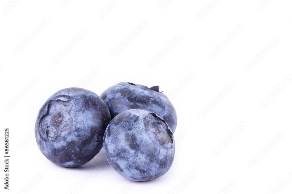 Obraz premium Tropical collage