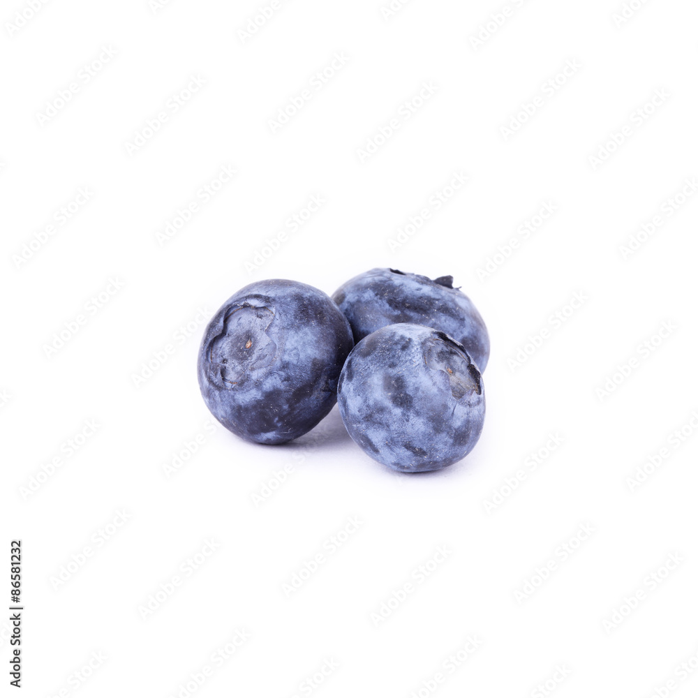 Obraz premium Tropical collage