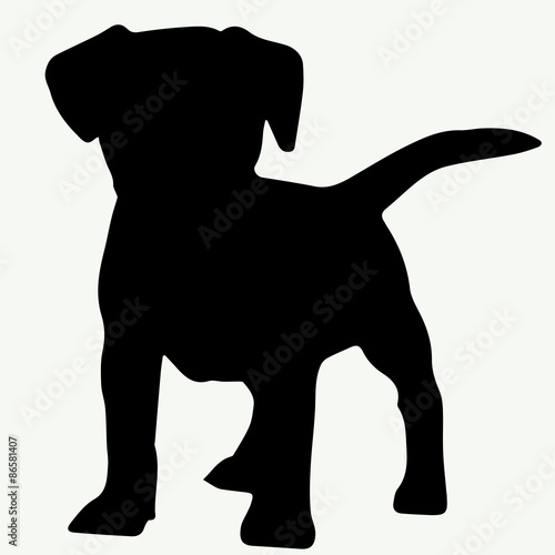 Dog silhouette on white background