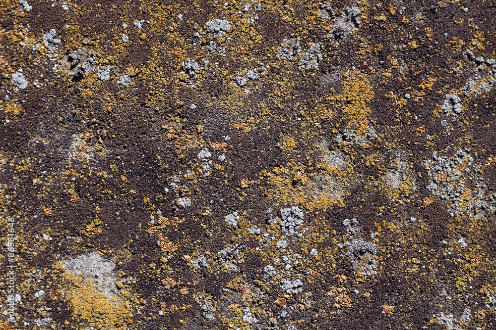 texture texture