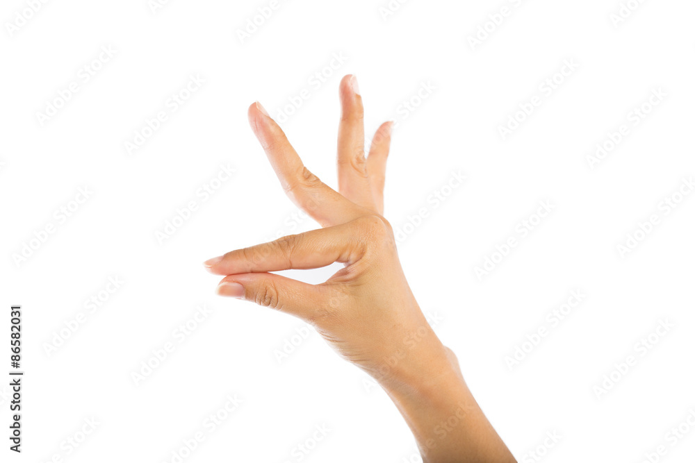 Woman hands on white background Woman hands on white background
