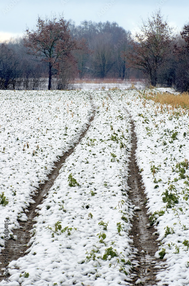 Winter car drive. Scene of country road and tire prints in a field covered by snow. Landscape of frozen forest during the evening. Winter car drive. Scene of country road and tire prints in a field covered by snow. Landscape of frozen forest during the evening.