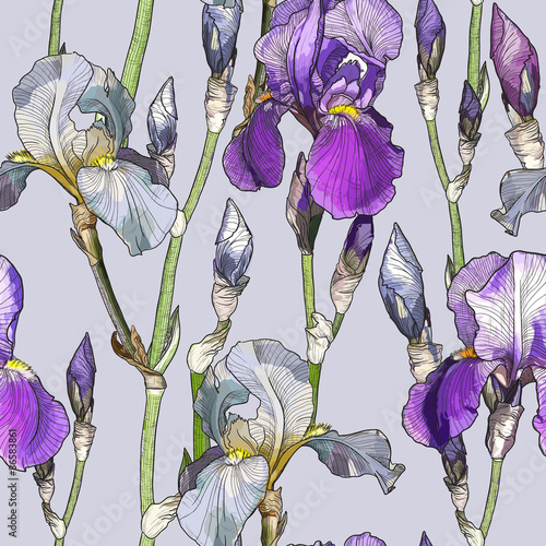 Seamless pattern with Beautiful iris flowers