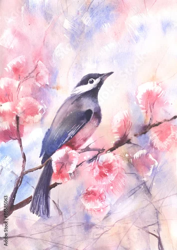 Fototapeta Water color drawing of a bird on a branch