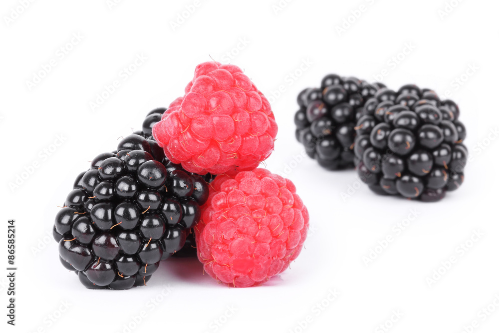 Blackberry and raspberries Blackberry and raspberries