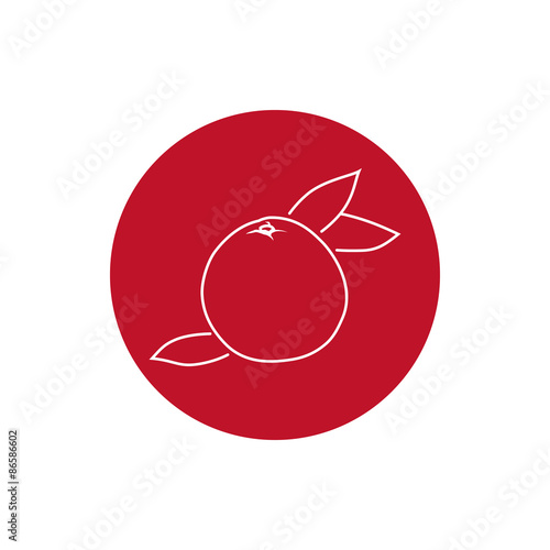 Grapefruit, Colorful Round  Icon Pomelo , Fruit Icon,  Vector Illustration