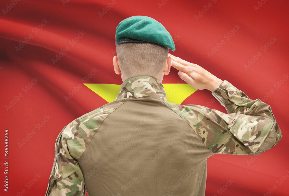 Obraz premium National military forces with flag on background conceptual series - Vietnam