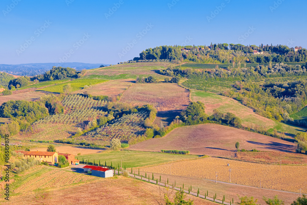 Fototapeta premium Lonely isolated farm in the grown hills of San Miniato