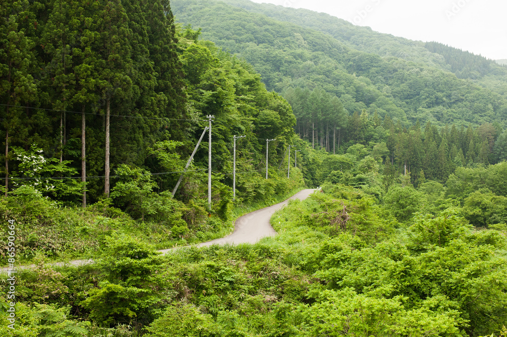 田舎道 田舎道