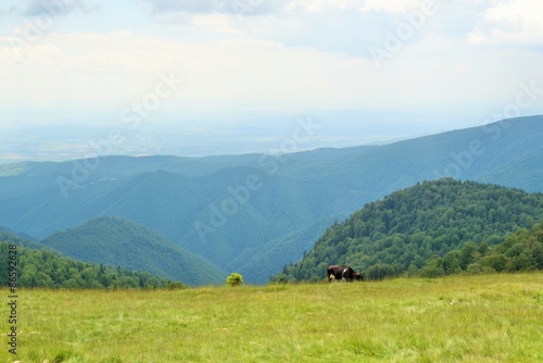 Parang mountains, Romania. 