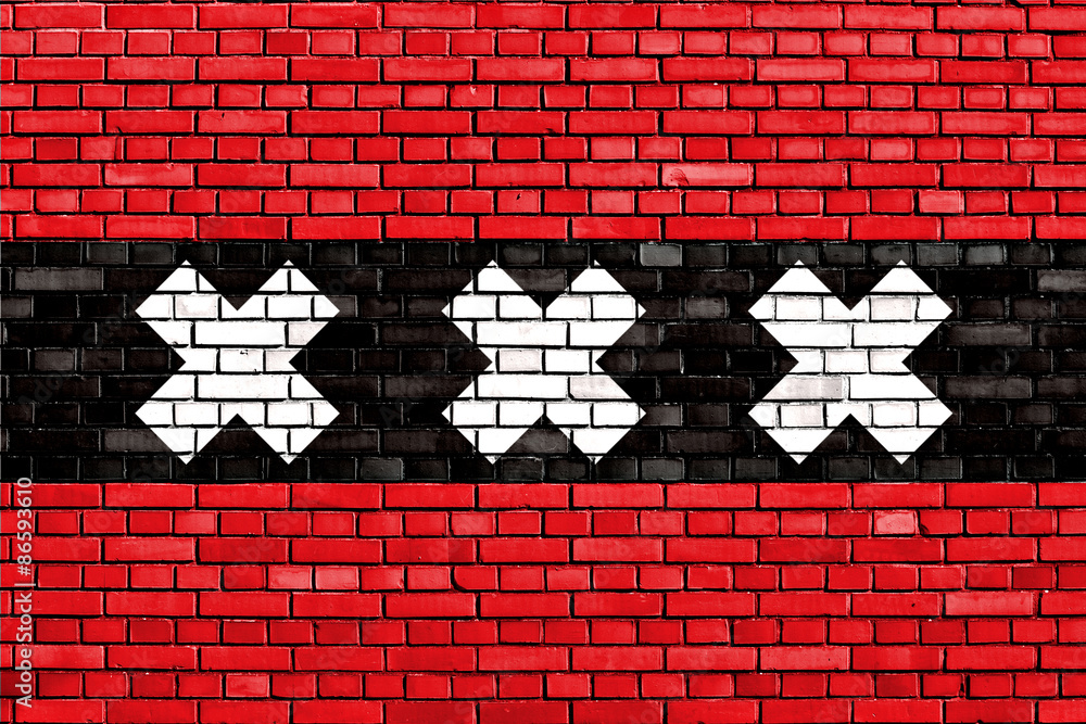 Fototapeta premium flag of Amsterdam painted on brick wall