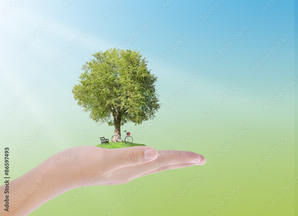 Hand holding tree,chair,bicycle , wellness concept Hand holding tree,chair,bicycle , wellness concept
