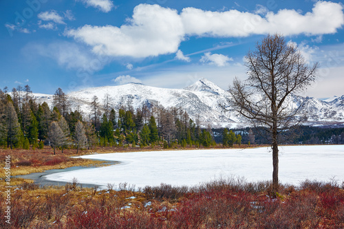 Altai Lake  Kodelyukyol photo