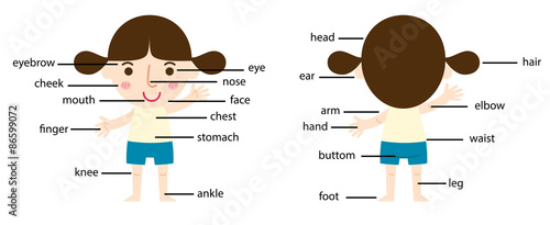 vocabulary part of body vector