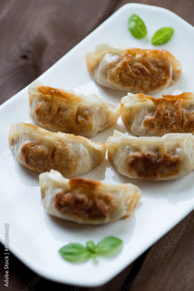 Close-up of japanese traditional gyoza dumplings, studio shot Close-up of japanese traditional gyoza dumplings, studio shot