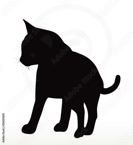 cat silhouette in Rubbing Scent pose