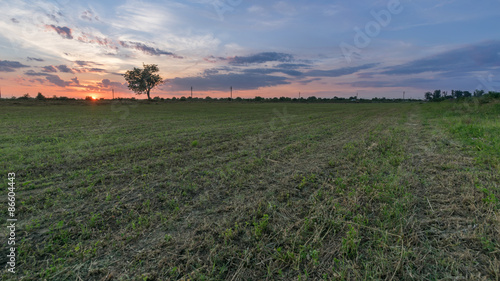 Sunset at the agricultural land