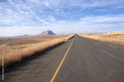 Ashpalt Road Bordered by Winter Grass in South Africa