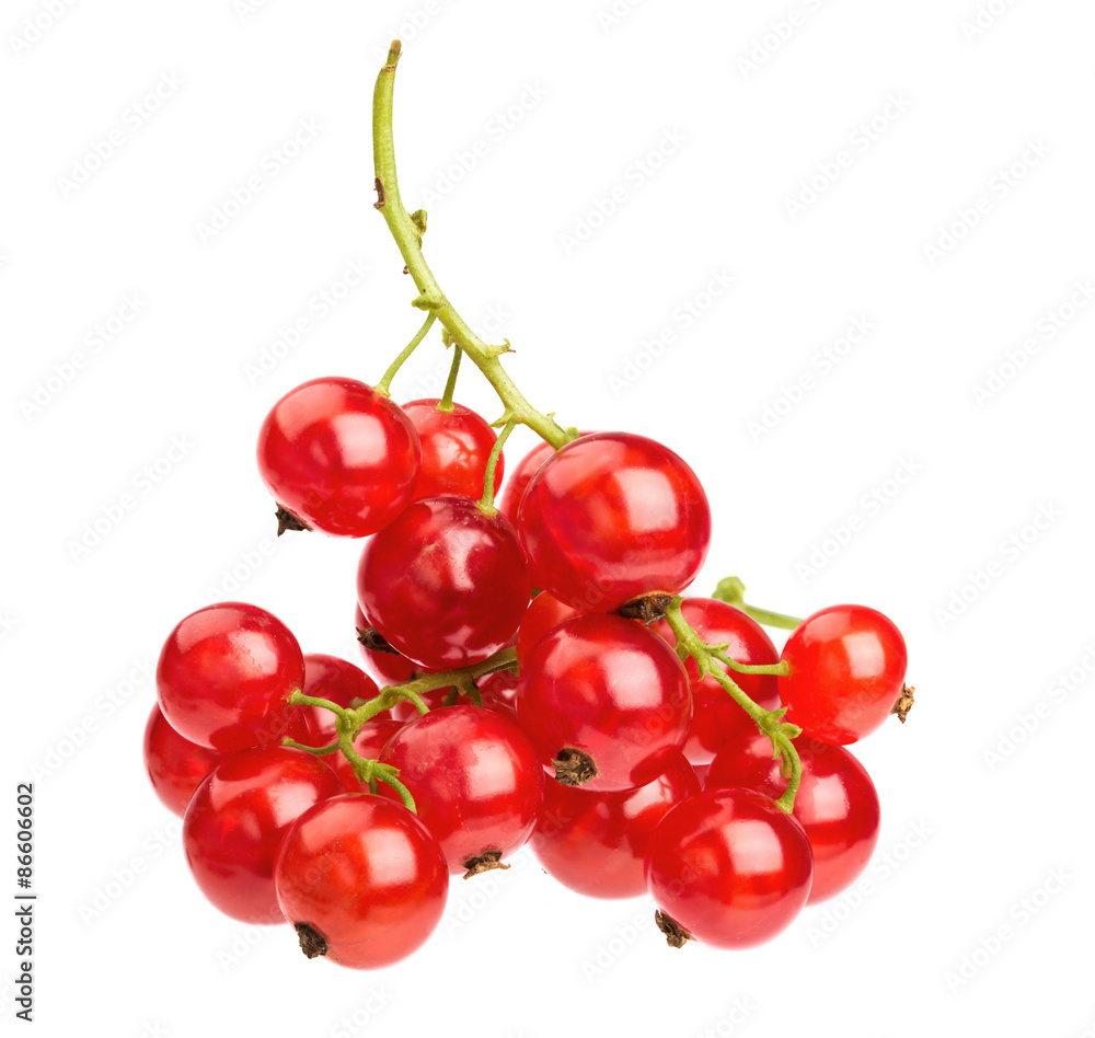 Red currants isolated on white Red currants isolated on white