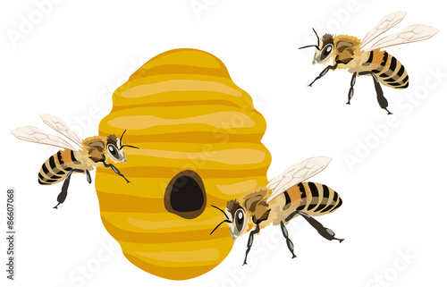 Beehive