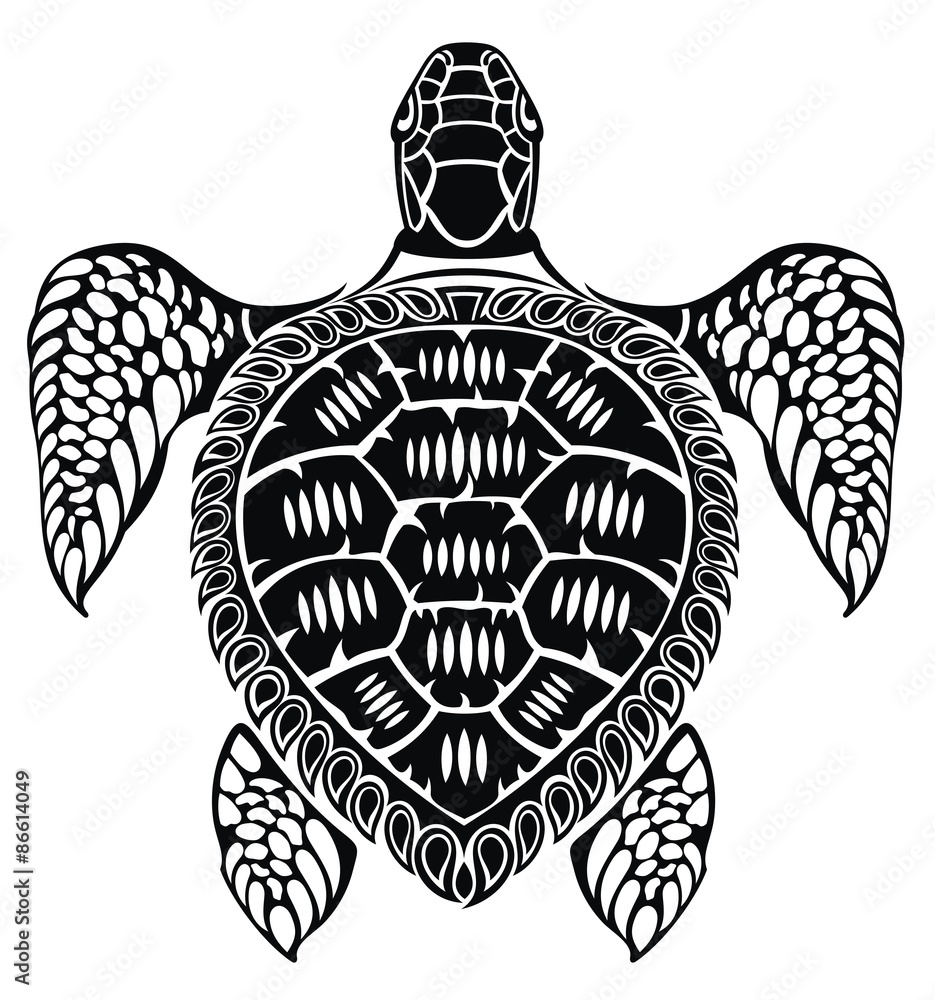 Naklejka premium Turtle