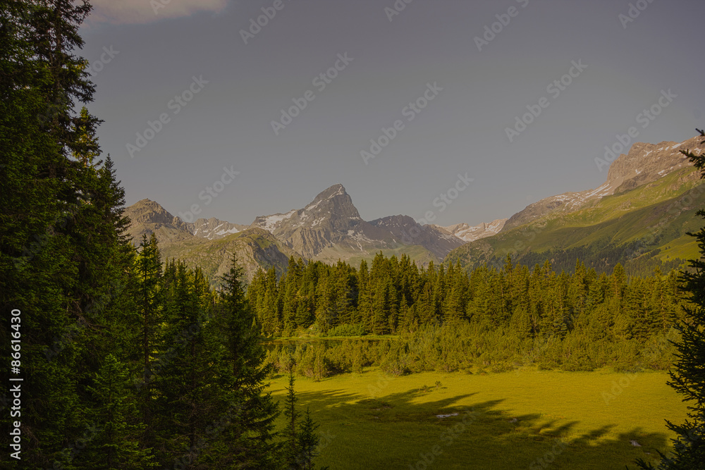 Fototapeta premium Alp Flix – Schwarz See im Hochmoor mit Piz Platta im Hintergrund