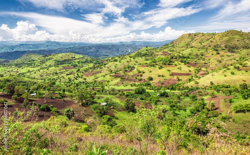 View of the Bonga forest reserve in southern Ethiopia
