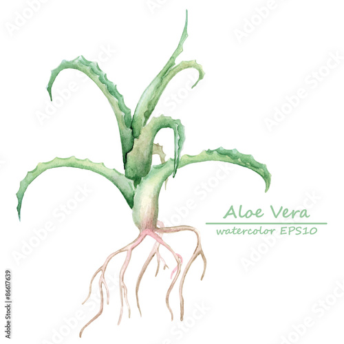 watercolor olive branch card template