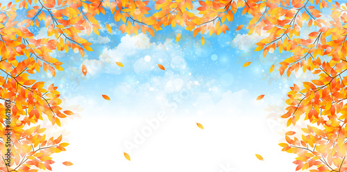 もみじ　紅葉　背景
