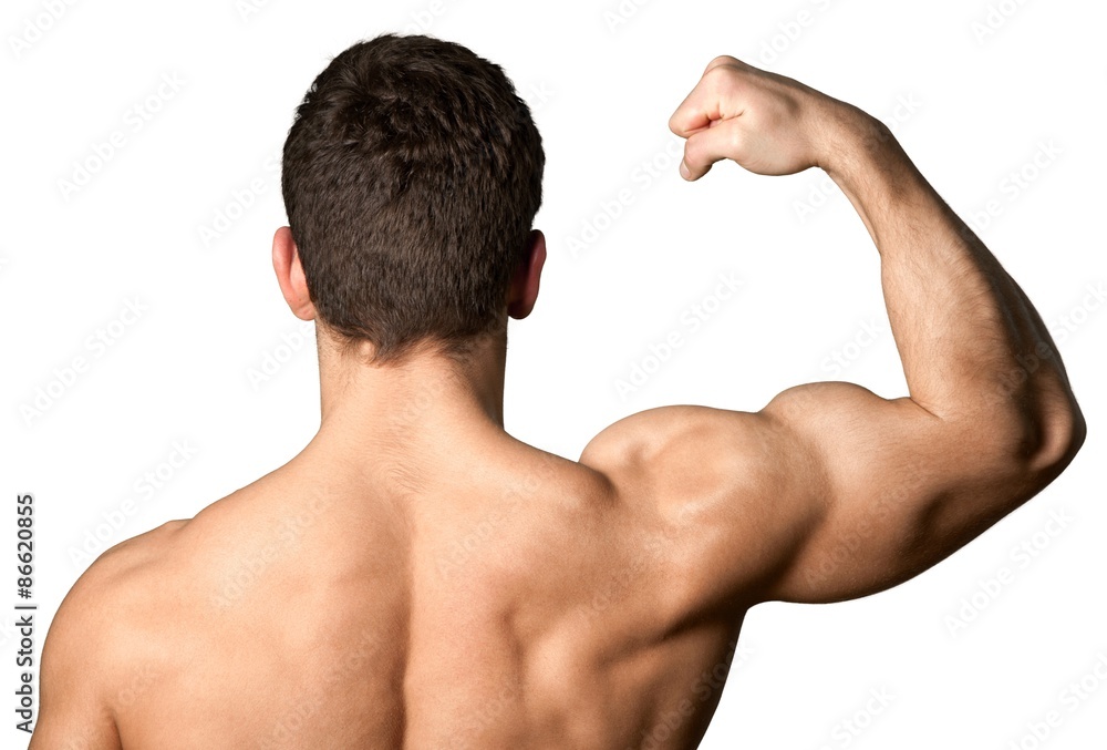 Human Muscle, Bicep, Muscular Build. Human Muscle, Bicep, Muscular Build.