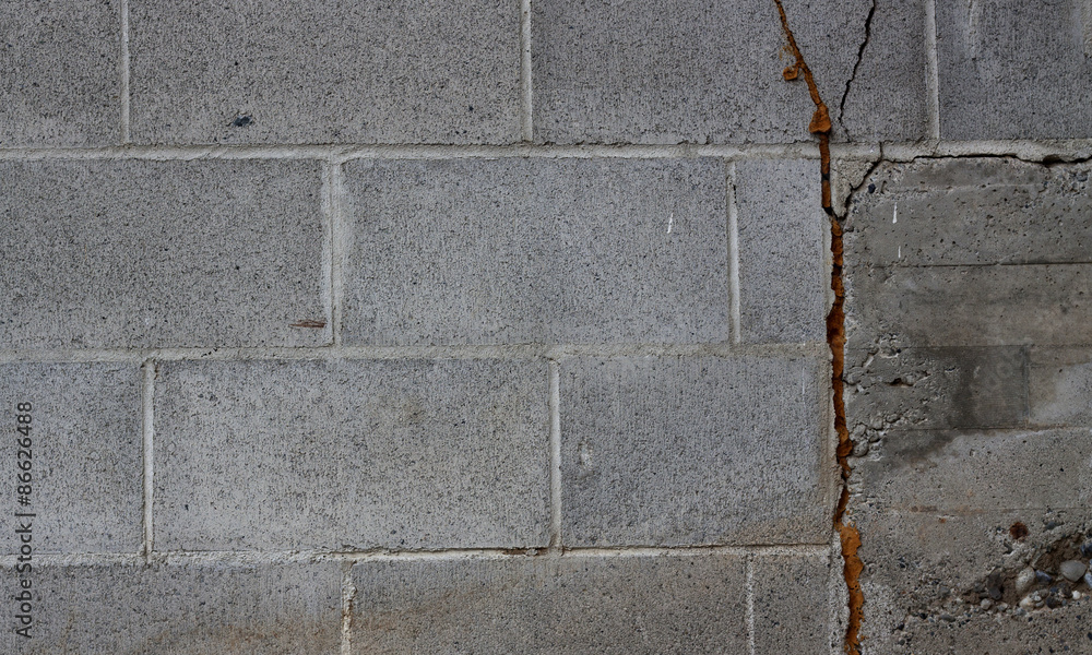 Fototapeta premium Crack in the Wall