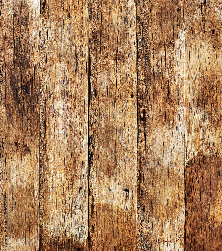 Obraz premium Wood texture with natural patterns. background old panels