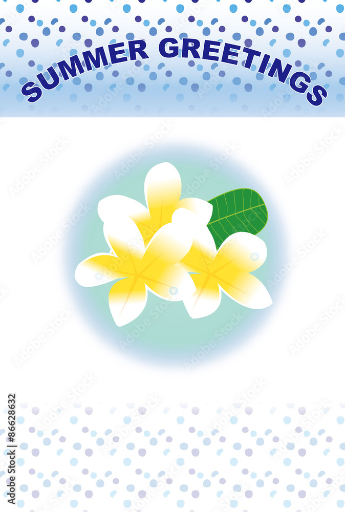 ハワイの白い花プルメリアのグリーティングカード Stock Illustration Adobe Stock ハワイの白い花プルメリアのグリーティングカード Stock Illustration Adobe Stock