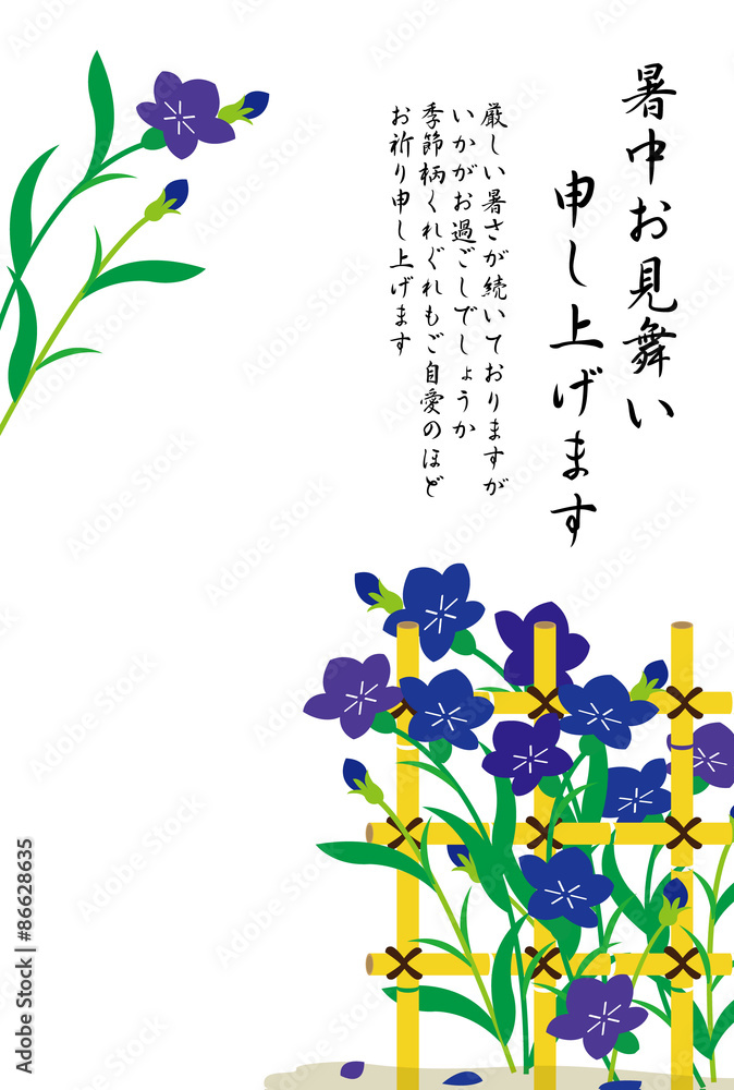 桔梗の花と竹の柵の和風の暑中見舞い Stock イラスト Adobe Stock