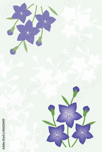 キキョウの花のグリーティングカード