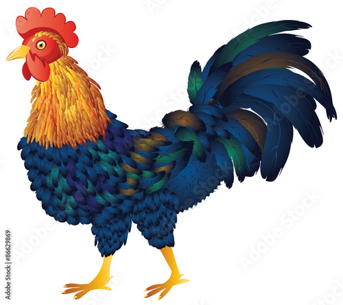 Cartoon Rooster