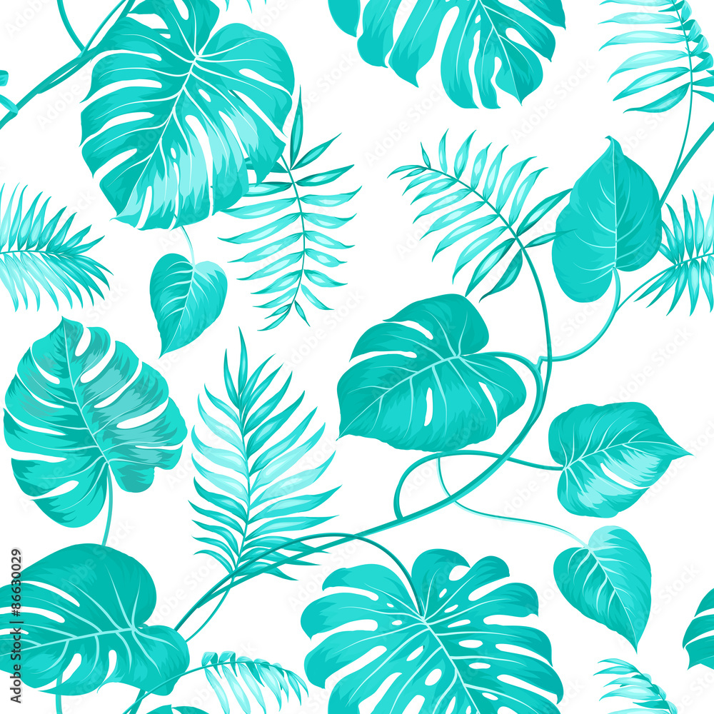 Obraz premium Topical palm leaves.