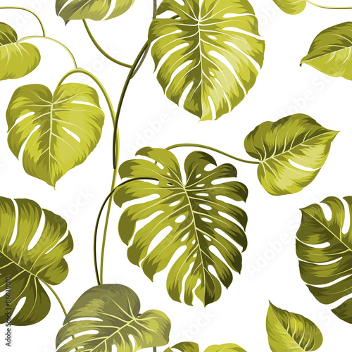 Topical palm leaves.