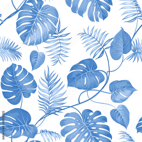Topical palm leaves.