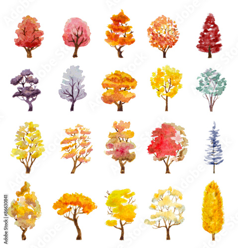 set of autumn trees. hand drawn watercolor vector illustration