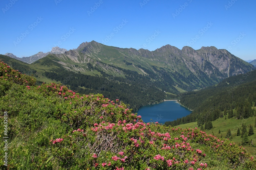 Alpenrosen and lake Arnensee