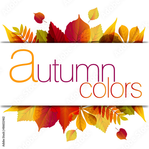 Autumn Background photo