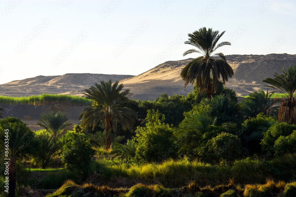 Egypt, view of the nature on the bamks of the Nile river near Aswan Egypt, view of the nature on the bamks of the Nile river near Aswan