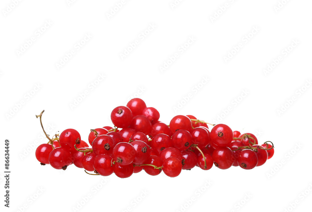 Branches of berry red currants isolated on a white background Branches of berry red currants isolated on a white background