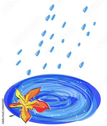 Maple Leaf, Rain and Puddle. Vector EPS 10