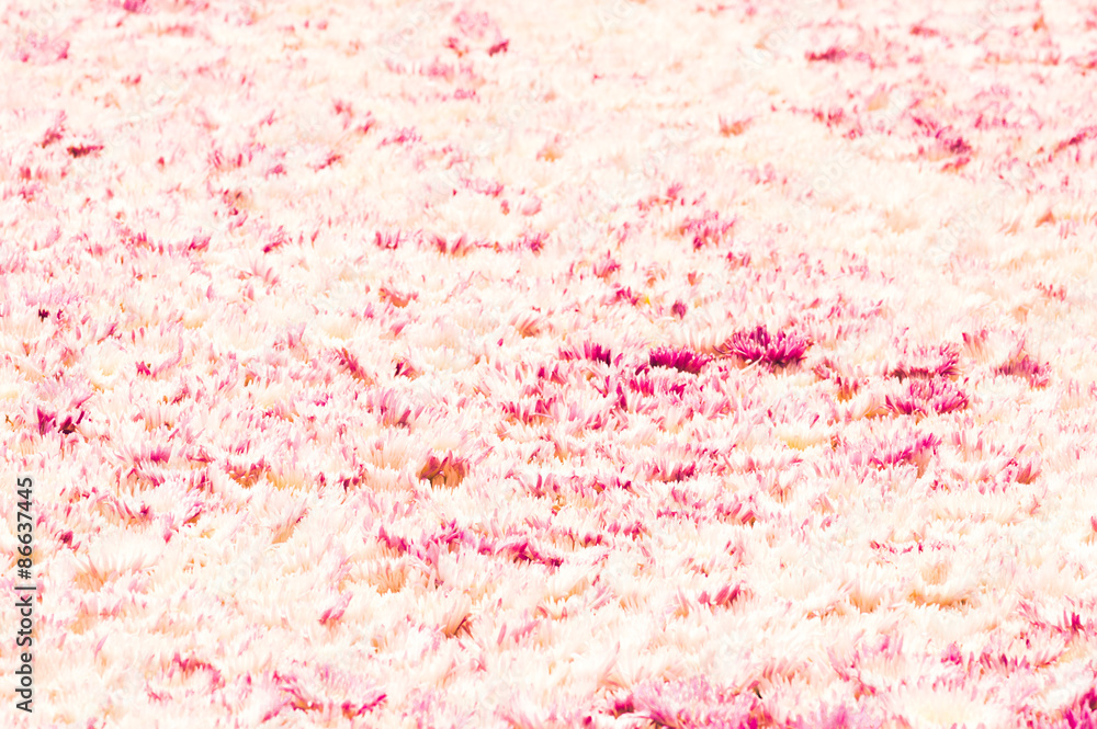 Obraz premium Floral background