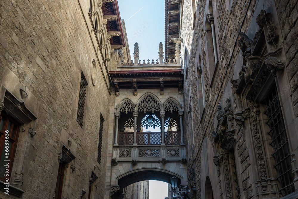 details of Palau de la Generalitat de Catalunya at Gothic Quarter in Barcelona, Spain